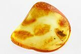 Detailed Fossil Death-Watch Beetle (Anobiinae) in Baltic Amber #315207-1